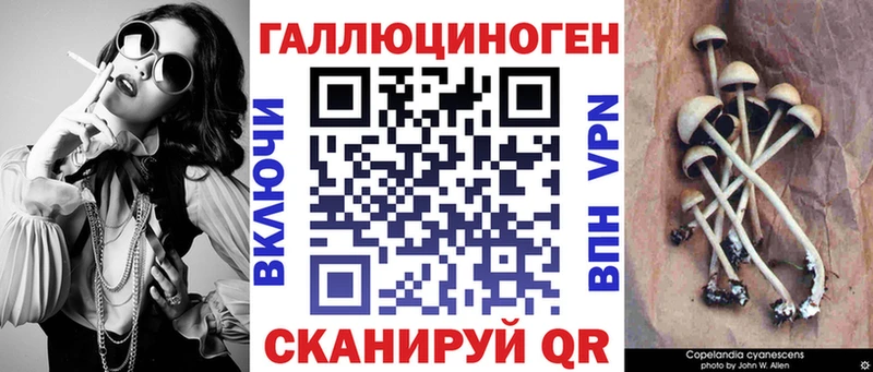 Галлюциногенные грибы Psilocybe  Купить закладки  Благовещенск 